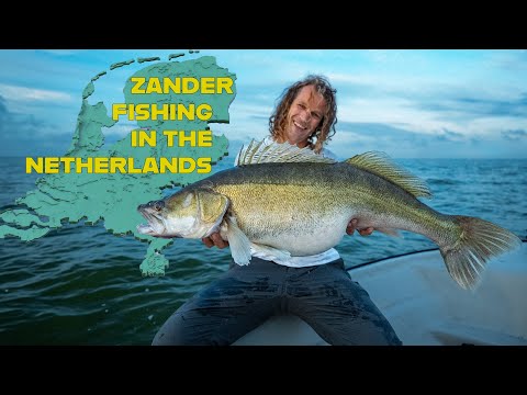 Zander fishing in The Netherlands