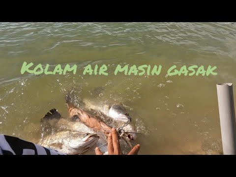 melaka kolam air masin...gasak