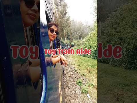 Toy Train 🚂 Ride || Ooty  ||must do experience #travellingbetween #shorts #bengalitravelvlog