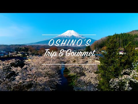 【忍野村公式】旅行＆グルメ編 ～OSHINO'S Trip & Gourmet～