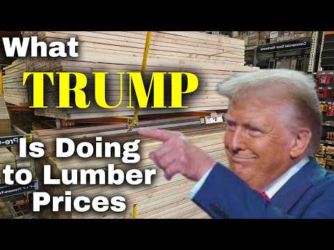 Trump is Already Impacting Lumber Prices - What it All Means for the Future of Lumber and the Forest