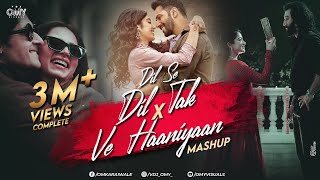 Dil Se Dil Tak X Ve Haaniyaan X Satranga | Omy Visuals | Bollywood Mashup | 2024 Love Mashup