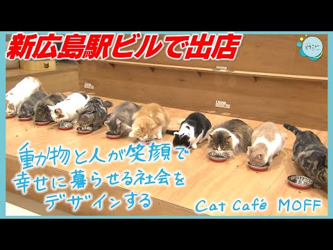 【ミナモアの魅力】ネコ好きにはたまらないカフェ『Cat Café MOFF』