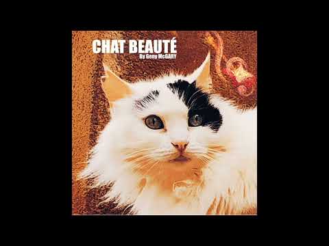 Chat Beauté