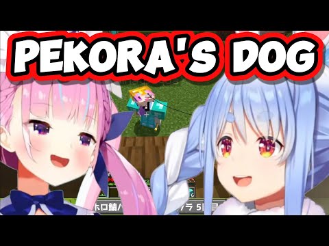 Aqua Got A Bit Too Excited To Be Pekora's Dog...【Hololive】