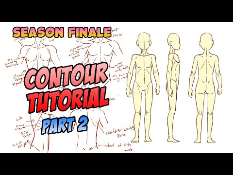 How To Draw Contours Part 2 | Anime & Manga Tutorial