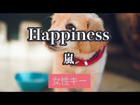 【女性キー(+4)】Happiness - 嵐【カラオケ・オフボーカル】