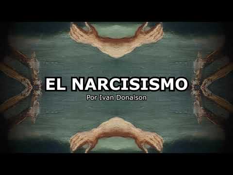 EL NARCISISMO - EL AGUJERO SIN FIN