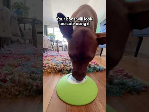 My Dogs Love To Use This Enrichment Toy | The Pack