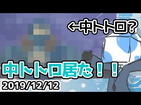 ポケモン最新作で中トトロを発見するウォルピスカーター #ウォルポケ剣