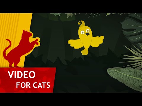 Cat Games - 🐤 Yellow Bird in the Jungle (Video for Cats to watch) 4K