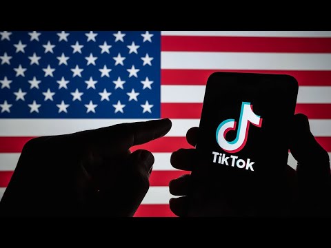 What's the U.S. Government's Plan for TikTok? | Shelly Palmer on CNN International