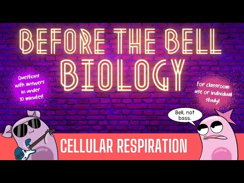 Cellular Respiration: Before the Bell Biology