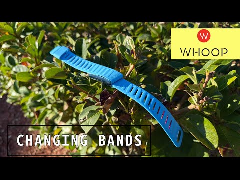 Whoop 4.0 Band Changing And Options!