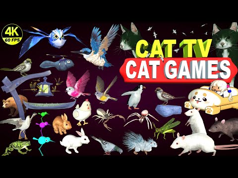 CAT GAMES ULTIMATE CAT TV COMPILATION | BEST CAT GAMES ON SCREEN | CAT & DOG TV 4K 8 HOURS