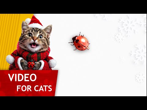 Cat Games - Get that Christmas Ladybug Video for Cats to watch