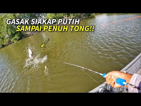 GASAK SIAKAP PUTIH Sampai Penuh Tong!! ( Puas Hati )