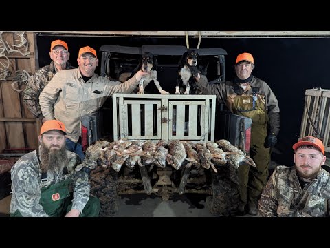 Chasing WILD SWAMP Rabbits With Dogs, For A LOUISIANA Sauce Piquante! (CATCH*COOK)