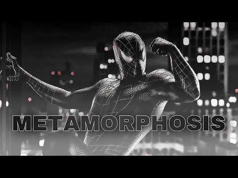 Black suit Spider-Man │ Metamorphosis