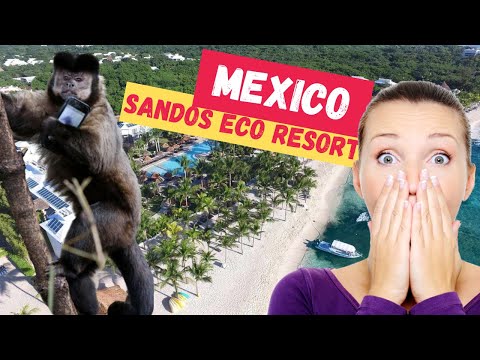 Get Ready to Be Blown Away - Experience Mexico's Sandos Eco Resort!