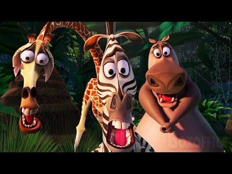 ALL the BEST Scenes from Madagascar 🌀 4K