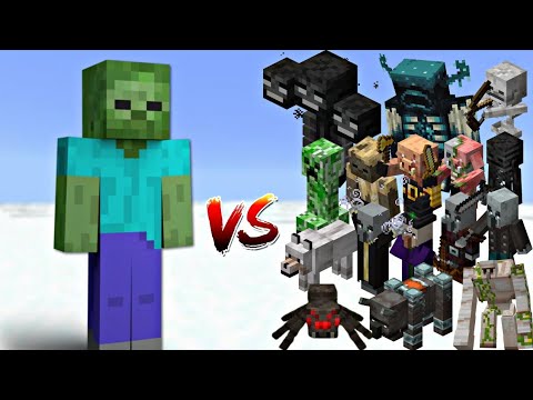 Minecraft: All Mobs vs Herobrine Zombie – Ultimate Battle!