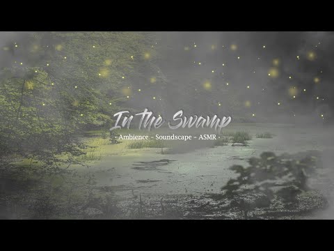 AT THE SWAMP AT NIGHT- Ambience Soundscape Studying and Relaxing (ASMR) - no music