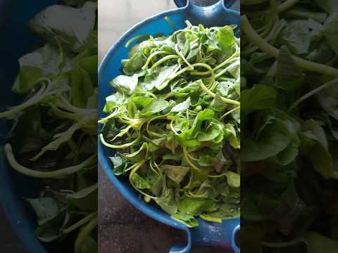 Marsa Bhaji (Amaranth) Fry #cooking #asmr #youtube #youtubeshorts #shorts #shortvideo #viralvideo