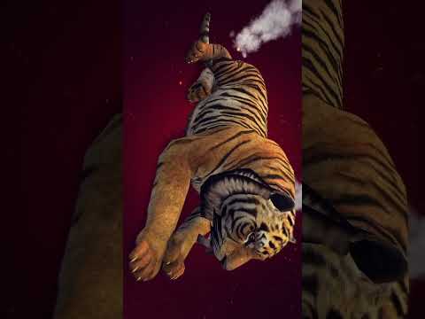 Tiger Vfx in Fire and fog Screen