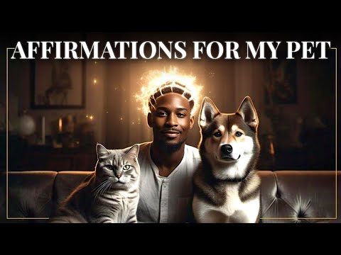 For the Love of Pets | Affirmations For My Pet | It Will Help to Bond with Your Pet | Manifest