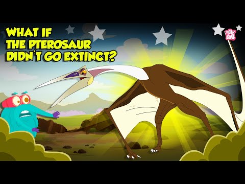 Biggest Flying Animal To Ever Exist | What If Quetzalcoatlus Didn't Go Extinct? | Dr. Binocs Show