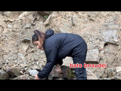 BATO BANAYARA CHAMAl  LEIYO ||  GARO x || BATO BIGRERA