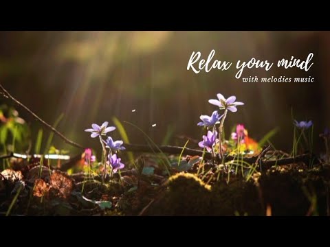 Calm your mind with beautiful relaxing music | Relaxing piano music for study, meditation and focus