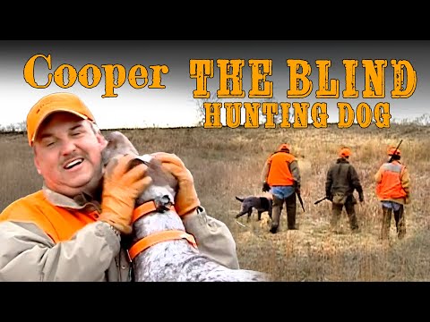 Throwback: Hunting With a Blind Dog!