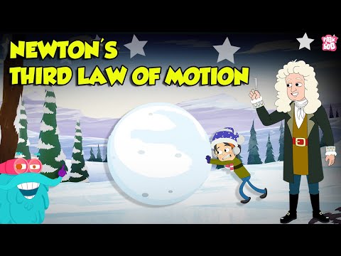 Newton's 3rd Law of Motion | Action and Reaction Forces with Examples | Physics Laws | Dr. Binocs