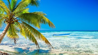 Tropical Beach Relaxation Film 🌴 Relaxing Bossa Nova Music 🌴 Natural Landscape