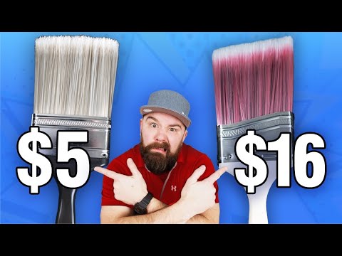 Are Expensive Paint Brushes actually worth it?