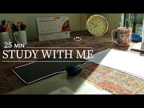 25 Minutes | Study With Me 📚 | Morning Sun /No Music/Background Noise