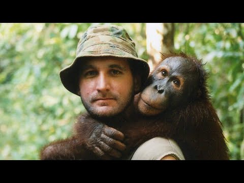 The conservation story of the Orangutans | Leif Cocks (The Orangutan Project)