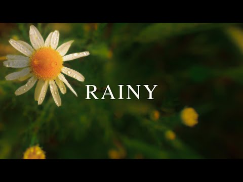 Relaxing Guitar and Rain | Sleep Stress Relief Calm 1 Hour