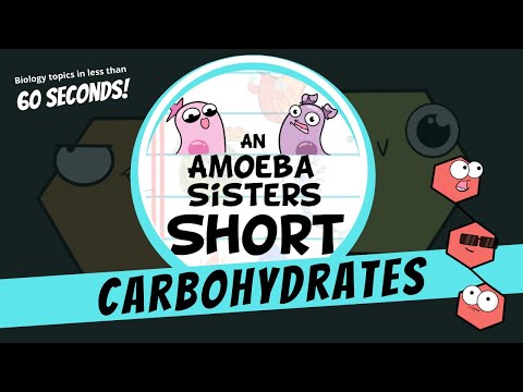 Carbohydrates - Amoeba Sisters #Shorts