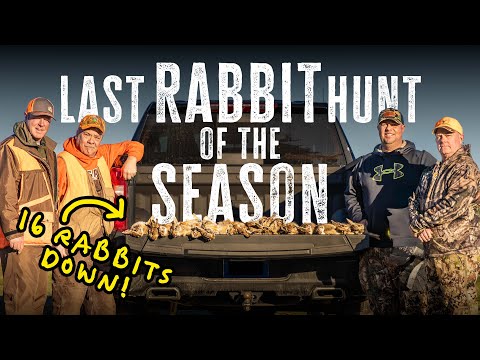 16 Rabbits down! Last Hunt of The Season!