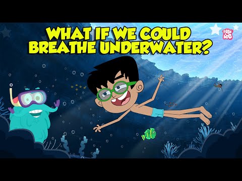 What If We Could Breathe Underwater? | Humans with Superpowers | Super Freedivers | Dr. Binocs Show