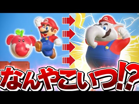 【ゆっくり実況】ゆっくりKがやるマリオワンダー Part1【スーパーマリオブラザーズワンダー】