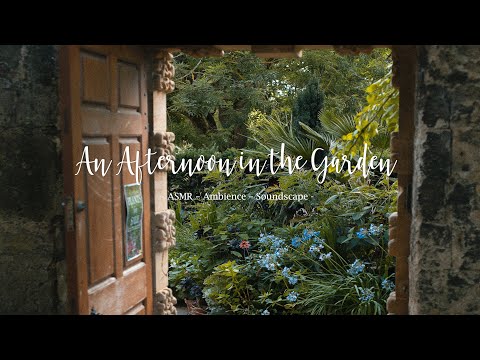 AN AFTERNOON IN THE GARDEN - Ambience Soundscape Studying and Relaxing (ASMR) - No Music