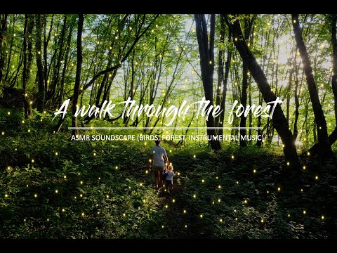 A Walk Through the Forest – Ambience Soundscape Studying and Relaxing (ASMR) - Harry Potter Inspired