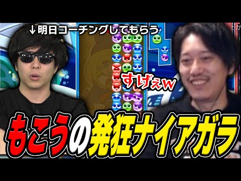 もこうの『発狂ナイアガラ』を見て期待を膨らませる布団ちゃん【2025/2/17】