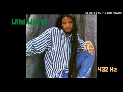 Maxi Priest - Wild World Live 1988 [432 Hz]