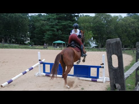 EquineView - Jump!