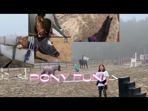 GoPro riding lesson on a 26 year old mare! one of my bad rides  | Life On The Rein